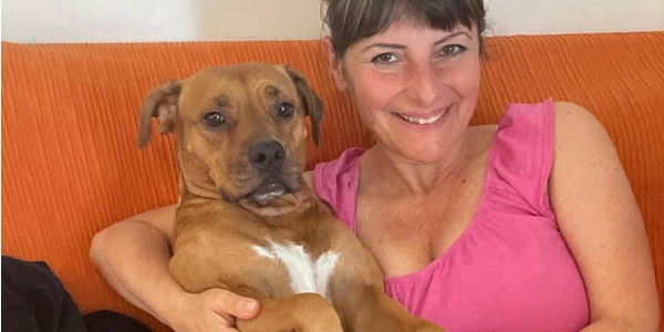 Accoglienza Cani Felici
